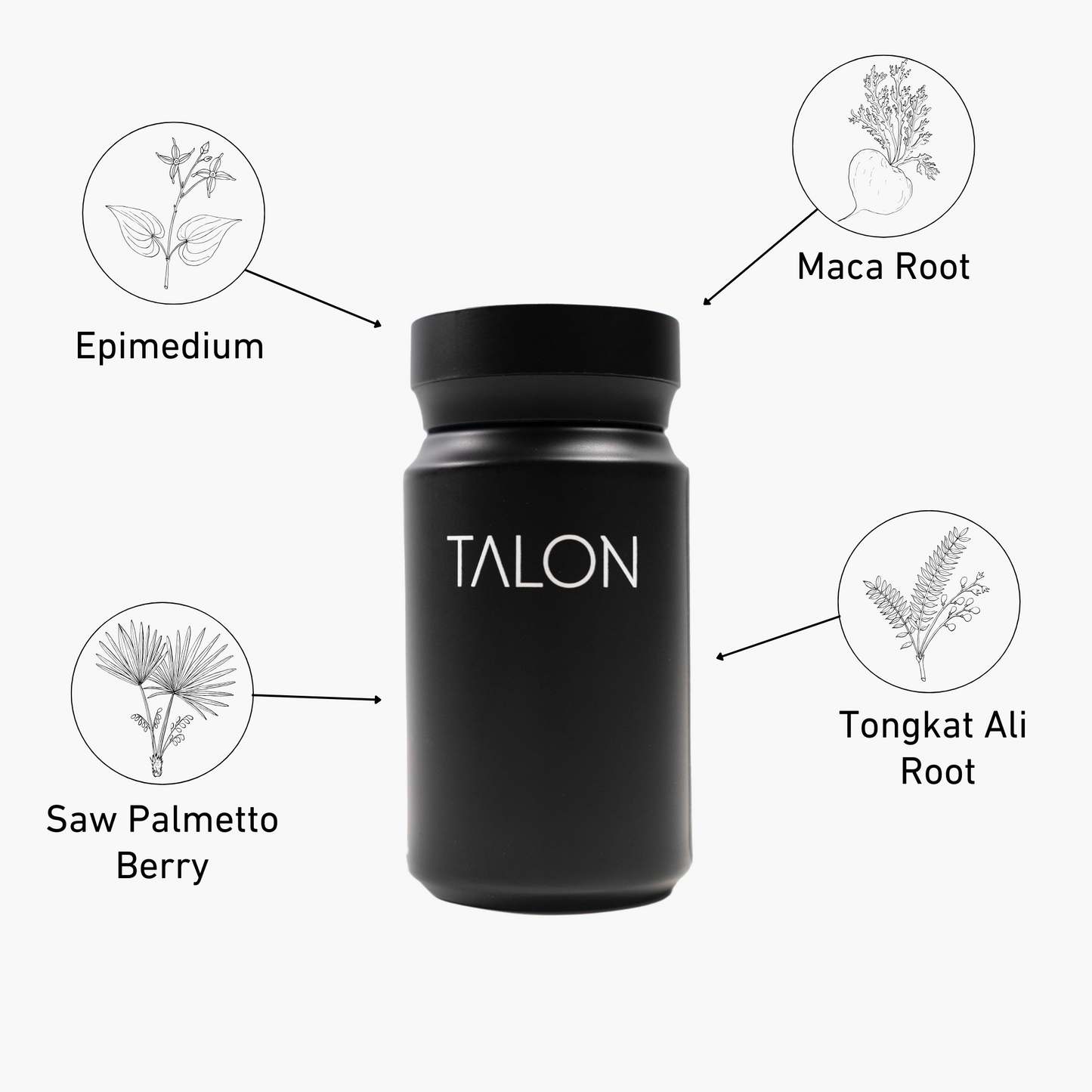 TALON - 3 BEHÄLTER 180 KAPSELN