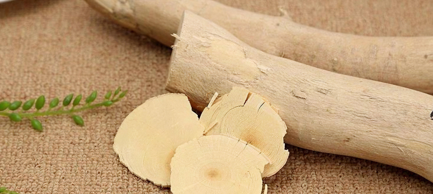 Tongkat Ali: What the Research Actually Says